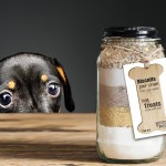 Biscuit pour Chien